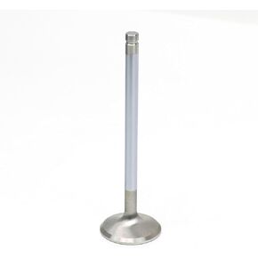 Michigan Motorsports 1.550 "صمام Exahust غير القابل للصدأ لميناء الكاتدرائية LS Heads - Fits 243 799 706 862 317 241 853 806 - LS1 LS2 LS6 LQ4 LQ9 LC9 LMG LM7 - أداء صمام الأداء in Kuwait