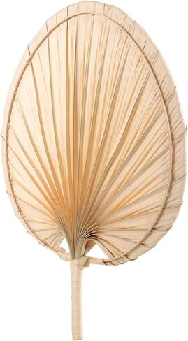 Pretyzoom Cattail Fan Fan Fan Fans Manual Fan Retro Hand Hand Fan Fan Summer Fan Fan Chinese Style Vintage Hand Hand Fan Cool Fan Handheld Hand Fan مع مقبض معجبي معجبي الزفاف معجبي الزفاف. in Kuwait