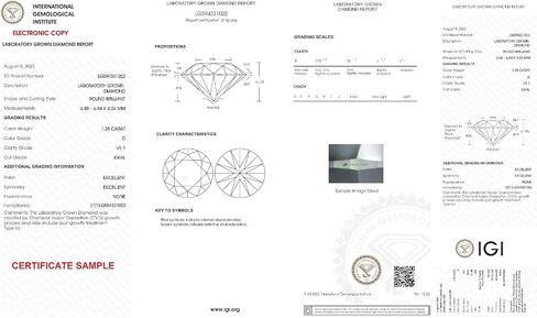 1.25 قيراط VS1 D Clarity/Color - مثالي القطع - مختبر مستدير الماس فضفاضة مع شهادة IGI in Saudi Arabia