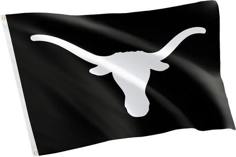 Desert Cactus University of Texas Flag Longhorns UT Austin Flags Banners 100% Polyester Indoor Outdoor 3x5 (Style 2) in Saudi Arabia