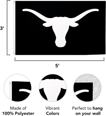 Desert Cactus University of Texas Flag Longhorns UT Austin Flags Banners 100% Polyester Indoor Outdoor 3x5 (Style 2) in Saudi Arabia