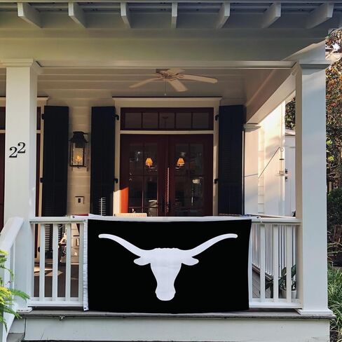 Desert Cactus University of Texas Flag Longhorns UT Austin Flags Banners 100% Polyester Indoor Outdoor 3x5 (Style 2) in Saudi Arabia