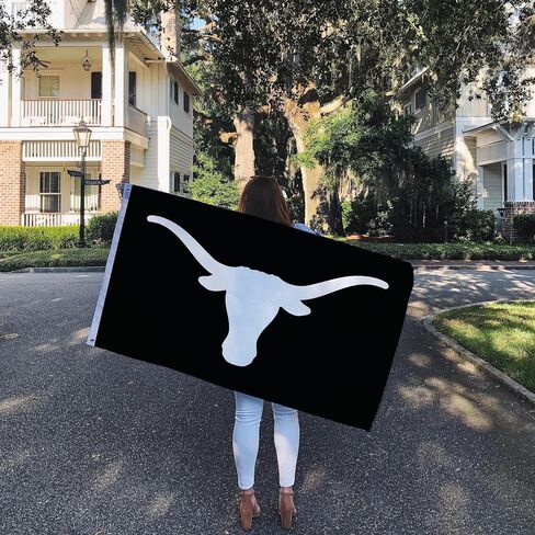 Desert Cactus University of Texas Flag Longhorns UT Austin Flags Banners 100% Polyester Indoor Outdoor 3x5 (Style 2) in Saudi Arabia