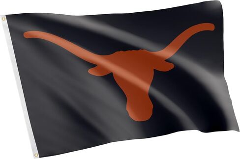 Desert Cactus University of Texas Flag Longhorns UT Austin Flags Banners 100% Polyester Indoor Outdoor 3x5 (Style 2) in Saudi Arabia
