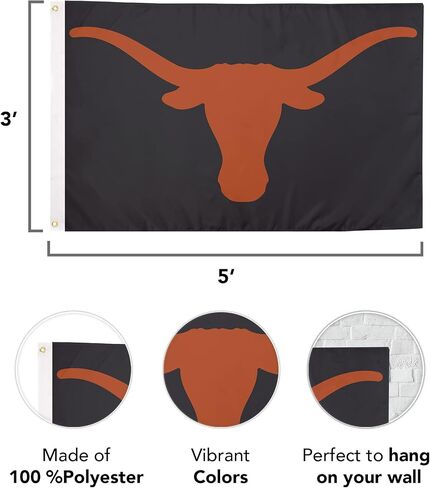 Desert Cactus University of Texas Flag Longhorns UT Austin Flags Banners 100% Polyester Indoor Outdoor 3x5 (Style 2) in Saudi Arabia