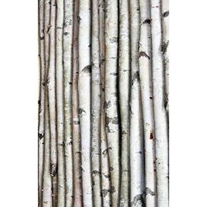 Wilson White Birch Decorative Poles - Natural Wood Bark Kiln Dried Home Décor, 6' L x 1.5-2.5" D (4 Poles) in Kuwait