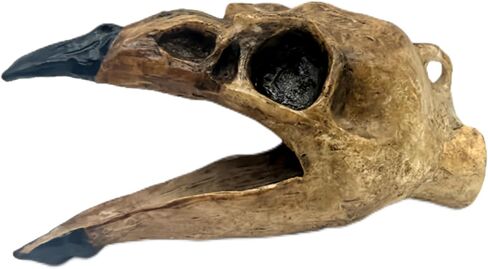 Aztec Death Whistle - Raven by Tribalecho in Kuwait