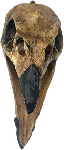 Aztec Death Whistle - Raven by Tribalecho in Kuwait