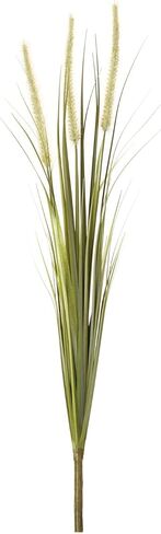 Foxtail Bush (مجموعة من 6) in Saudi Arabia
