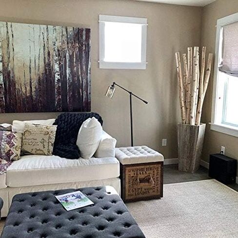 ويلسون وايت بيرش الأعمدة الزخرفية - خشب الخشب الطبيعي الفرن ديكور المنزل المجفف ، 6 'L x 1.5-2.5 "د (4 أعمدة) in Kuwait