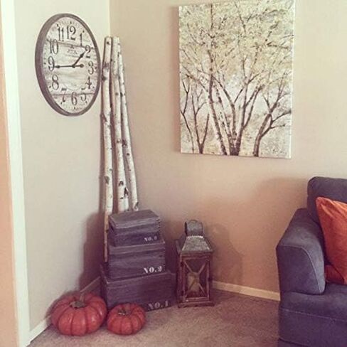 ويلسون وايت بيرش الأعمدة الزخرفية - خشب الخشب الطبيعي الفرن ديكور المنزل المجفف ، 6 'L x 1.5-2.5 "د (4 أعمدة) in Kuwait