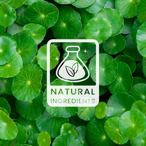 Gotu Kola Healing Balm ، Gotu Kola Cream ، Centella Centella Asiatica Daily Daily Resisturizing Cream مع زبدة الشيا ، فيتامين E ، زيت اللوز الحلو المصنوع في الولايات المتحدة الأمريكية 2oz in Saudi Arabia
