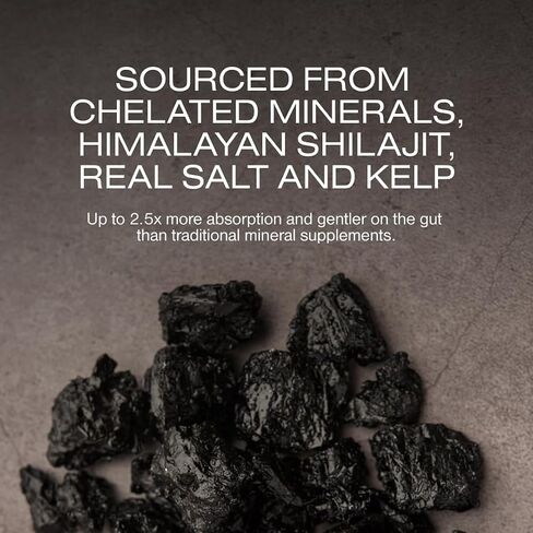 Fine Tune: Multipurpose Daily Supplement for Focus, Digestive Health & More, with Ancient Minerals, Himalayan Shilajit, Real Salt, & Kelp in Saudi Arabia