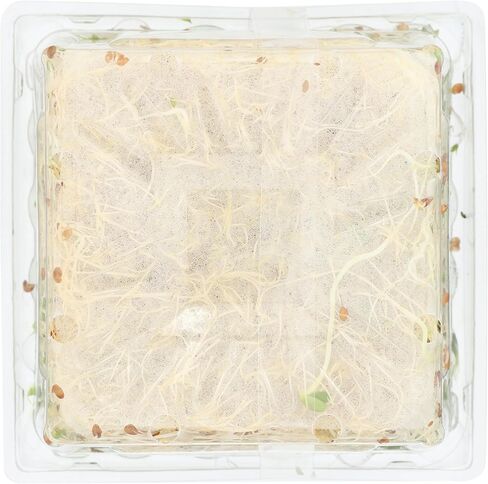 Green Valley Food Corp. Alfalfa Sprouts, 1 EA in Saudi Arabia