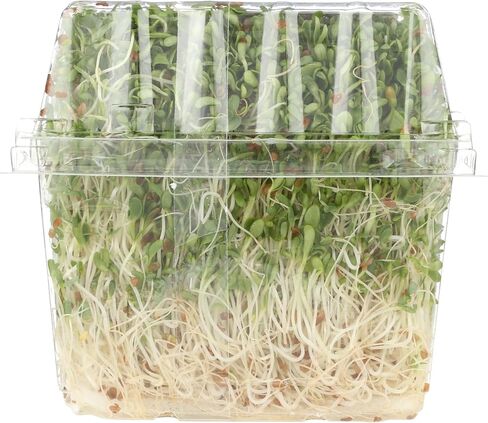 Green Valley Food Corp. Alfalfa Sprouts, 1 EA in Saudi Arabia