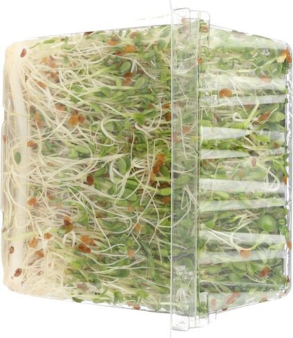 Green Valley Food Corp. Alfalfa Sprouts, 1 EA in Saudi Arabia