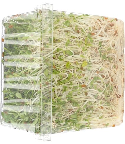 Green Valley Food Corp. Alfalfa Sprouts, 1 EA in Saudi Arabia