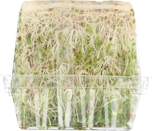 Green Valley Food Corp. Alfalfa Sprouts, 1 EA in Saudi Arabia
