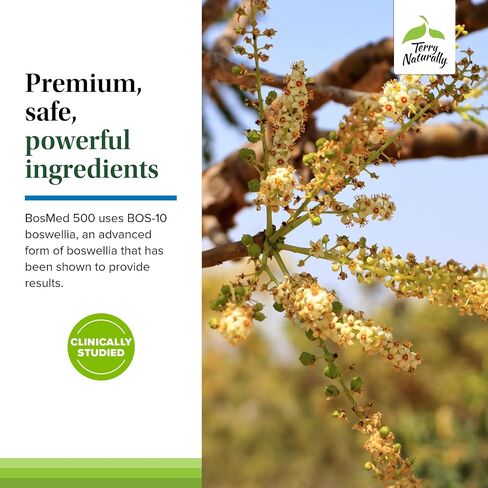 Terry Naturally BosMed 500 - Boswellia Serrata Extract Supplement - Dietary Supplement for Healthy Lung Support - Herbal Supplement Formula - 60 Softgels in Saudi Arabia