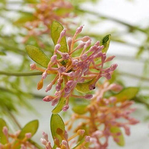 Factory Direct Craft Vinyl Artificial Cream Yarrow Wildflower Bush for Indoor or Outdoor Decor in Saudi Arabia