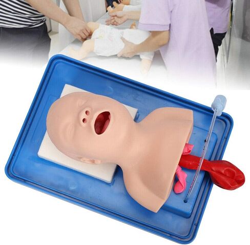 CNCEST Airway Manikin Study Teaching Model, Oral Nasal Intubation Manikin Training Study Teaching, Model Airway Management Trainer (Children's Model) in Saudi Arabia