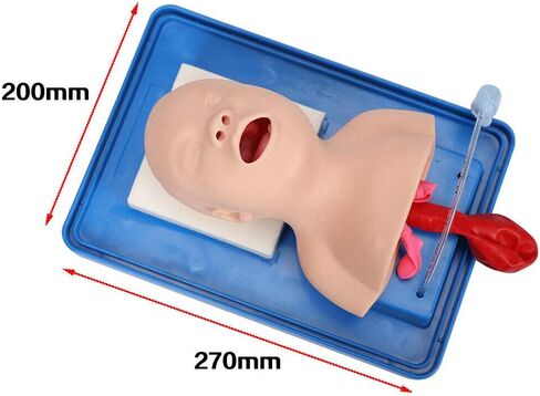 CNCEST Airway Manikin Study Teaching Model, Oral Nasal Intubation Manikin Training Study Teaching, Model Airway Management Trainer (Children's Model) in Saudi Arabia