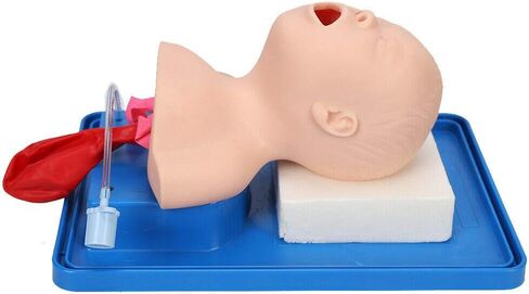 CNCEST Airway Manikin Study Teaching Model, Oral Nasal Intubation Manikin Training Study Teaching, Model Airway Management Trainer (Children's Model) in Saudi Arabia