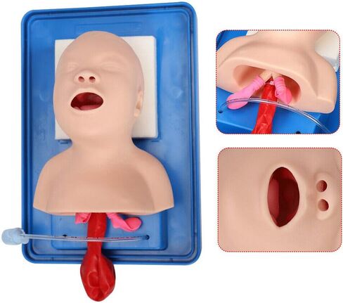 CNCEST Airway Manikin Study Teaching Model, Oral Nasal Intubation Manikin Training Study Teaching, Model Airway Management Trainer (Children's Model) in Saudi Arabia
