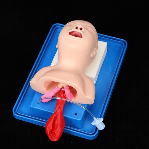CNCEST Airway Manikin Study Teaching Model, Oral Nasal Intubation Manikin Training Study Teaching, Model Airway Management Trainer (Children's Model) in Saudi Arabia