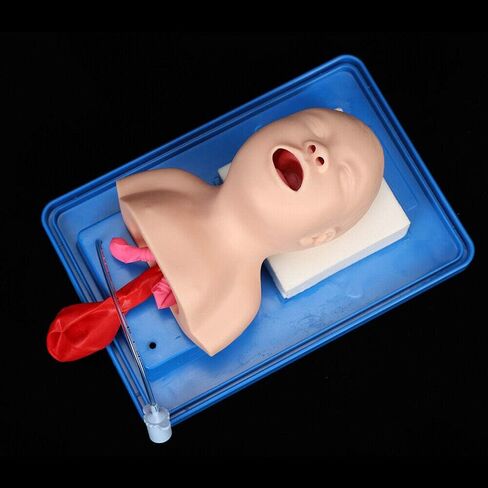 CNCEST Airway Manikin Study Teaching Model, Oral Nasal Intubation Manikin Training Study Teaching, Model Airway Management Trainer (Children's Model) in Saudi Arabia