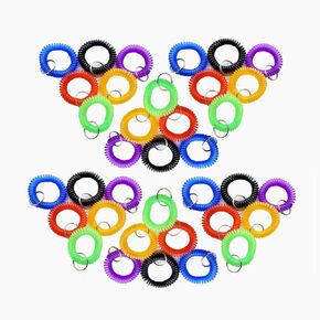Pack of 36 Colorful Spring Spiral Wrist Coil Key Chain, Wristband Key Ring (Assorted Color)