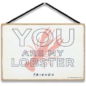 Open Road Brands Friends TV Series - You're The Rachel to My Monica Hanging Wood Wall Decor - Cute Sign for Any Friends Fan