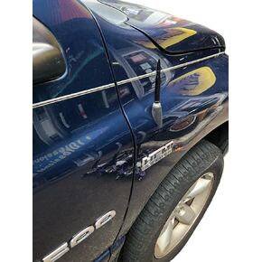 TrunkNets Inc BULLET Style Antenna Mast fits : 2002 2003 2004 2005 2006 2007 2008 for DODGE RAM 1500