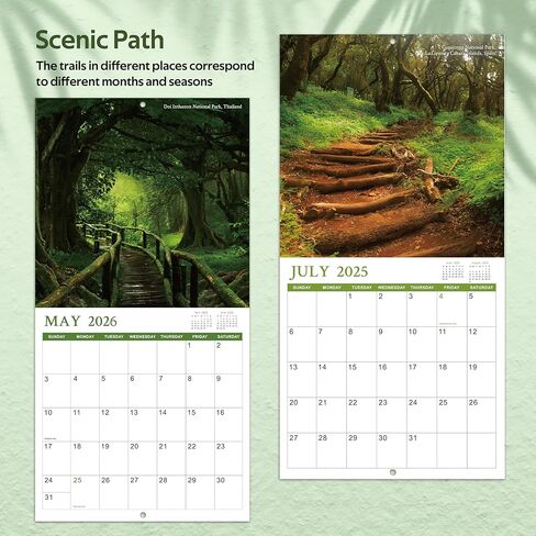 Calendar 2024-2025 - Monthly Square Wall Calendar 2024-2025, 18 months from Jul. 2024 - Dec. 2025, 12" x 24" (Open), Scenic Path Wall Calendar with Thick Paper in Kuwait