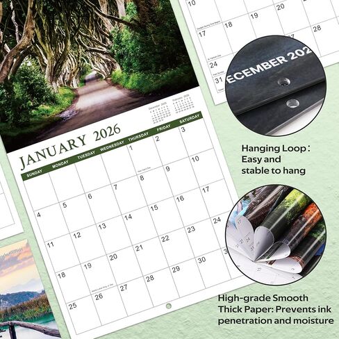Calendar 2024-2025 - Monthly Square Wall Calendar 2024-2025, 18 months from Jul. 2024 - Dec. 2025, 12" x 24" (Open), Scenic Path Wall Calendar with Thick Paper in Kuwait