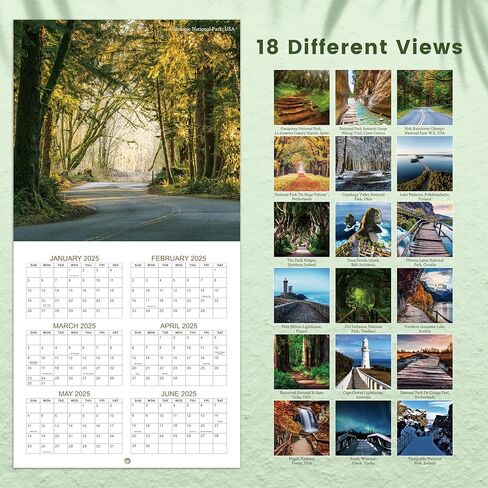Calendar 2024-2025 - Monthly Square Wall Calendar 2024-2025, 18 months from Jul. 2024 - Dec. 2025, 12" x 24" (Open), Scenic Path Wall Calendar with Thick Paper in Kuwait