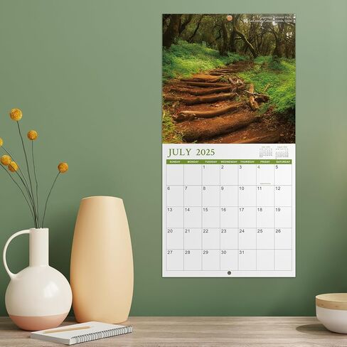 Calendar 2024-2025 - Monthly Square Wall Calendar 2024-2025, 18 months from Jul. 2024 - Dec. 2025, 12" x 24" (Open), Scenic Path Wall Calendar with Thick Paper in Kuwait