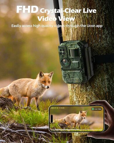 كاميرا VOOPEAK Trail WiFi، رؤية ليلية النجوم بعدسة مزدوجة أصلية 4K 60MP 30FPS كاميرات صيد ألعاب بلوتوث مع مستشعرات IMX458 لمراقبة الحياة البرية in Saudi Arabia