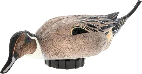 Avian-X Power Shaker Mallard Drake Surface Feeder Floating Duck Decoy - Durable Foam-Filled Realistic Lifelike Waterfowl Hunting Motion Decoy in Saudi Arabia