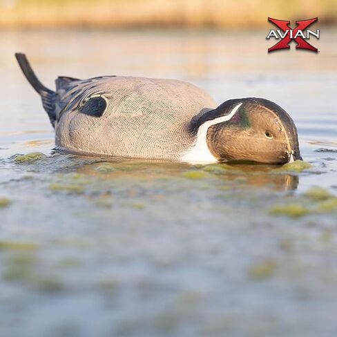 Avian-X Power Shaker Mallard Drake Surface Feeder Floating Duck Decoy - Durable Foam-Filled Realistic Lifelike Waterfowl Hunting Motion Decoy in Saudi Arabia