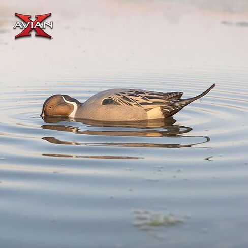Avian-X Power Shaker Mallard Drake Surface Feeder Floating Duck Decoy - Durable Foam-Filled Realistic Lifelike Waterfowl Hunting Motion Decoy in Saudi Arabia