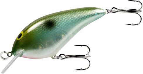 NMSN401 Speed N Crankbait - Holy Shad (2-3/4 Inch, 1/2oz), Multicolor, One Size in Saudi Arabia