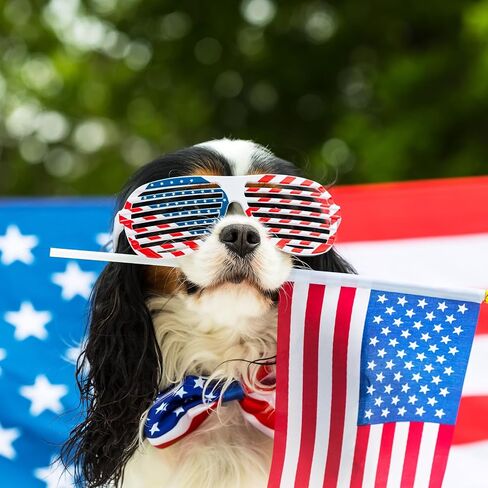 Honoson 48 PCS 4th July Party Forms تشمل 24 نظارة مصراع وطني الولايات المتحدة الأمريكية و 24 يوليو من Head Boppers American Flag Sunglasses for Independence Day Barty Supplies in Saudi Arabia