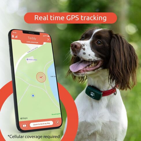 جهاز تعقب PitPat GPS للكلاب - بدون رسوم اشتراك - مناسب لجميع الكلاب ويناسب جميع الأطواق - جهاز تعقب ذكي للأنشطة، تتبع عبر الأقمار الصناعية مع نطاق غير محدود - جهاز تعقب الحيوانات الأليفة مقاوم للماء بنسبة 100% (وردي) in Kuwait