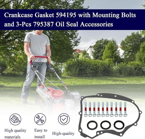 Crankcase Gasket 594195 with Mounting Bolts and 3-Pcs 795387 Oil Seal Accessories,Compatible with B&S Small Gasoline Engines,Replacement for 591911 697227 690945 273488 in Saudi Arabia
