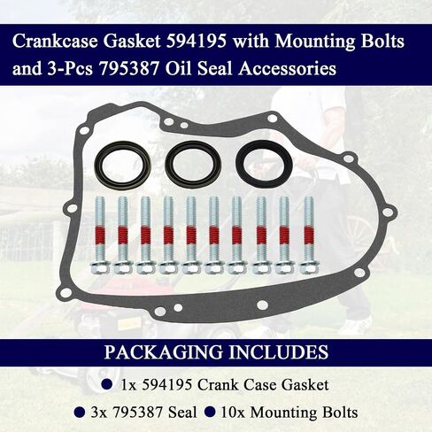 Crankcase Gasket 594195 with Mounting Bolts and 3-Pcs 795387 Oil Seal Accessories,Compatible with B&S Small Gasoline Engines,Replacement for 591911 697227 690945 273488 in Saudi Arabia