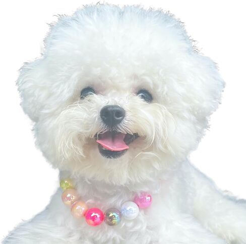 Dogs necklace,Pet Fashion Necklace,Colorful Beaded Necklace, in Kuwait
