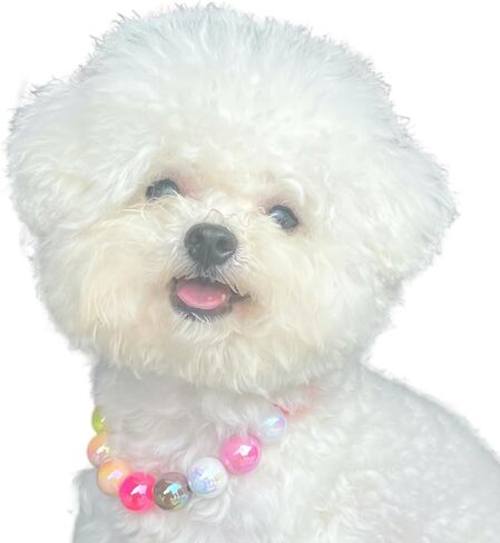 Dogs necklace,Pet Fashion Necklace,Colorful Beaded Necklace, in Kuwait