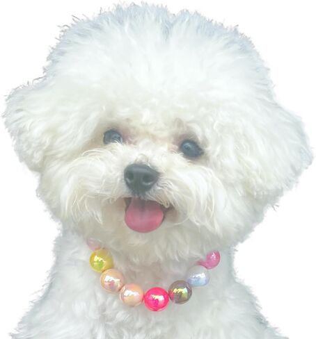 Dogs necklace,Pet Fashion Necklace,Colorful Beaded Necklace, in Kuwait
