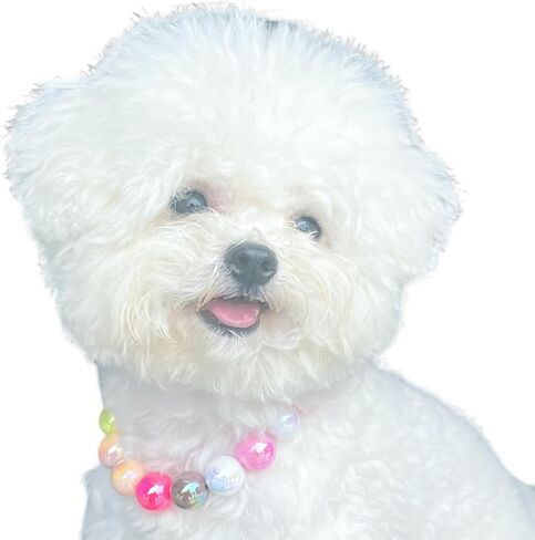 Dogs necklace,Pet Fashion Necklace,Colorful Beaded Necklace, in Kuwait